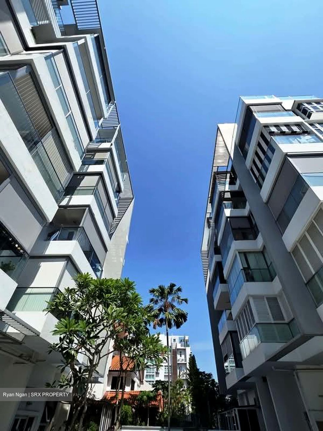 Blu Coral (D15), Condominium #575127361